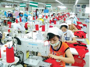 越南将成为世界纺织品生产中心